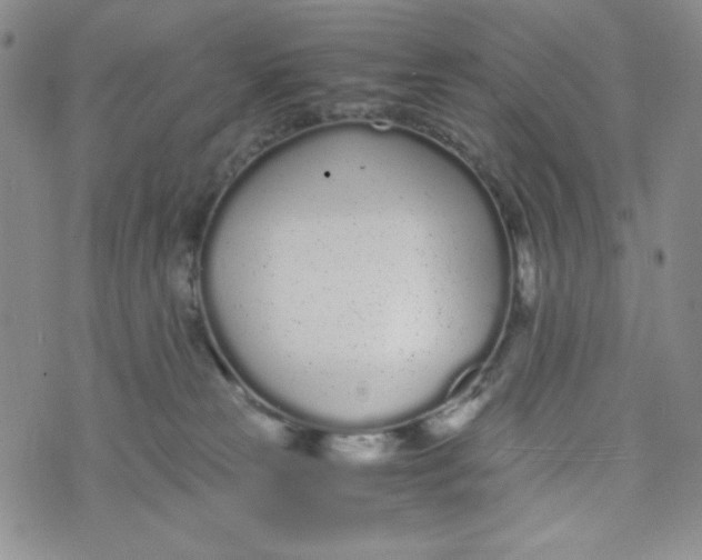 X0000076250181200610191658