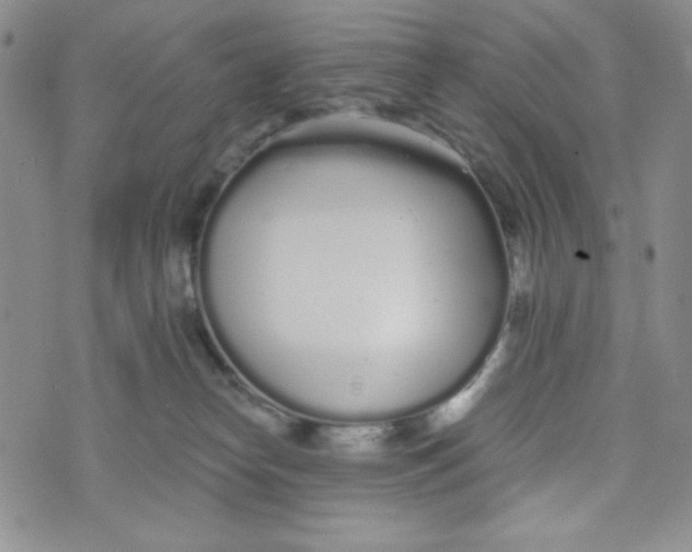 X0000076250182200610191658