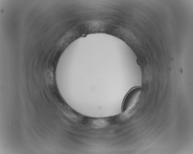 X0000076250183200610191658