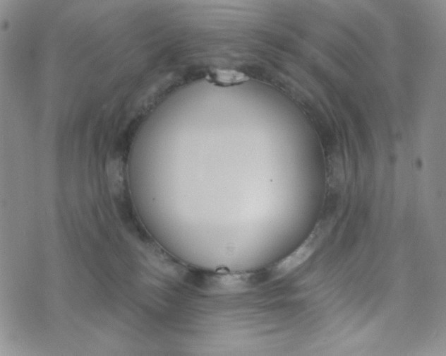 X0000076250184200610191658