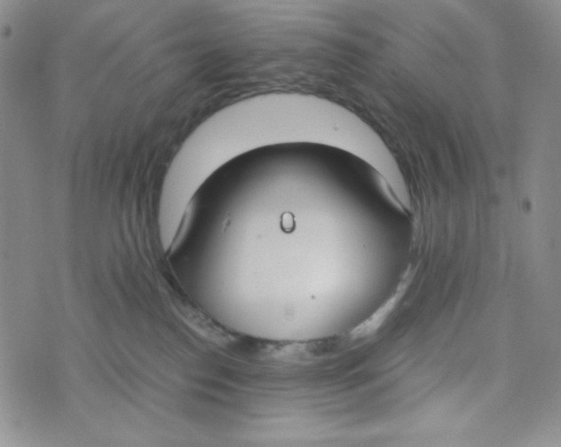 X0000076250186200610191658