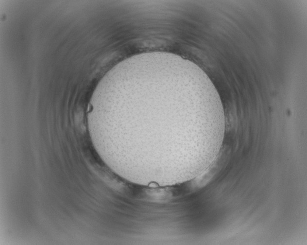 X0000076250187200610191658