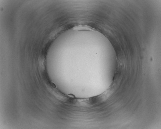 X0000076250188200610191658