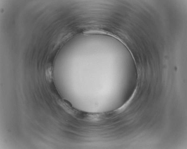 X0000076250190200610191658