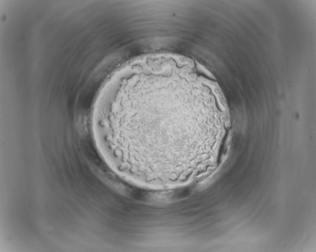 X0000076250191200610191658