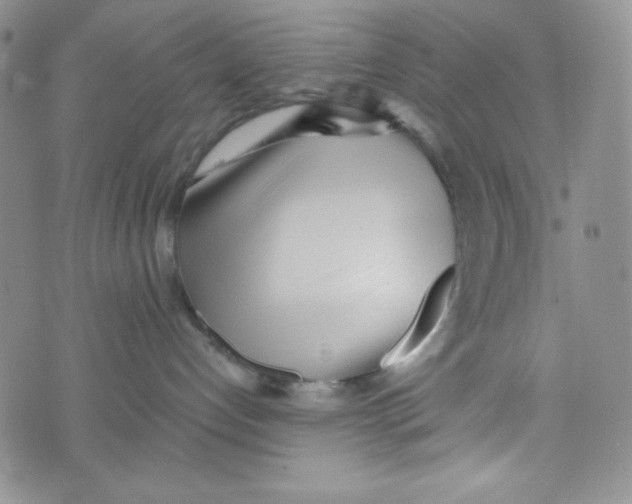 X0000076250192200610191658