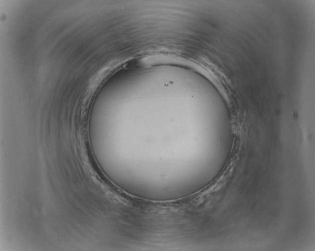 X0000076250193200610191657