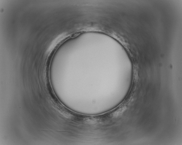 X0000076250199200610191657