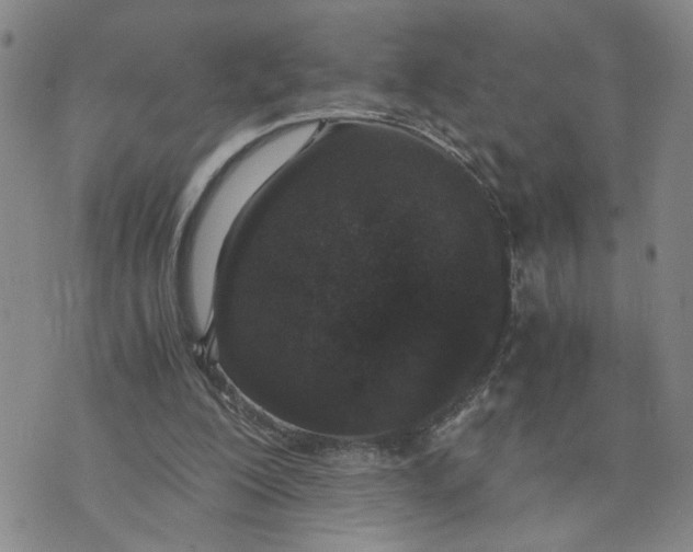 X0000076250200200610191657