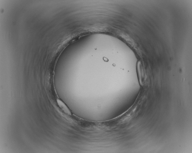 X0000076250201200610191657