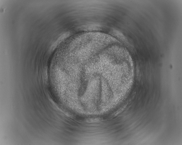 X0000076250202200610191657