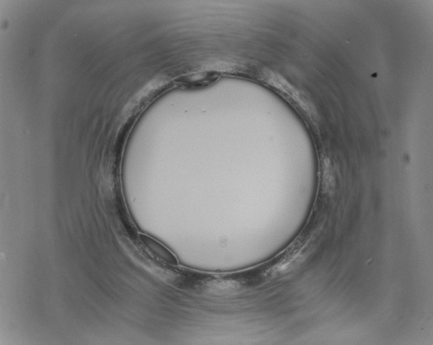 X0000076250203200610191657