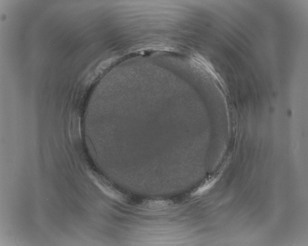 X0000076250205200610191657