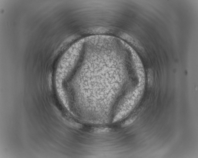 X0000076250206200610191657