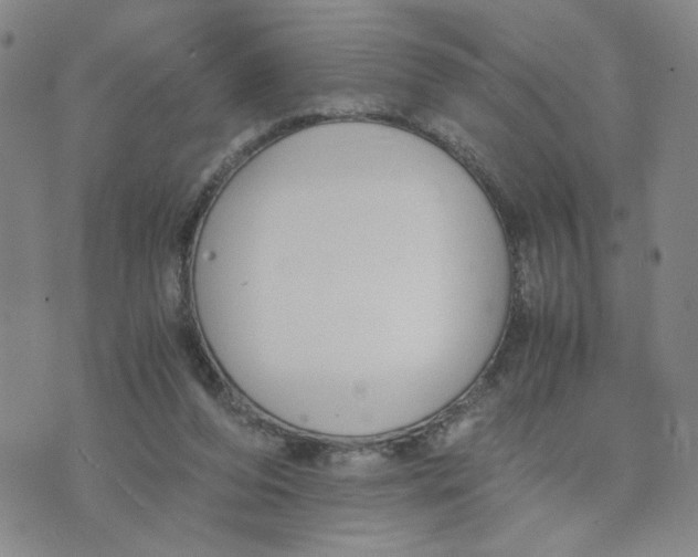 X0000076250208200610191657