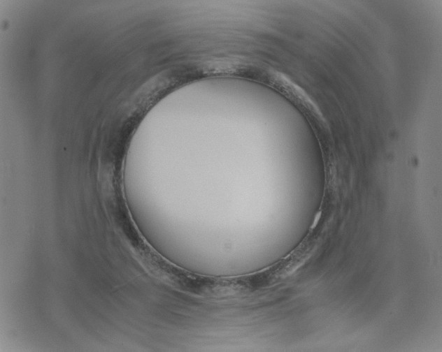 X0000076250209200610191657