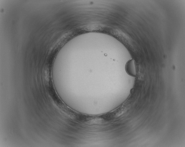 X0000076250210200610191657