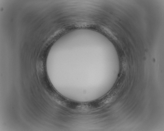 X0000076250211200610191657