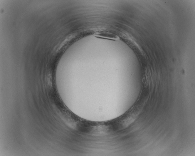 X0000076250212200610191657