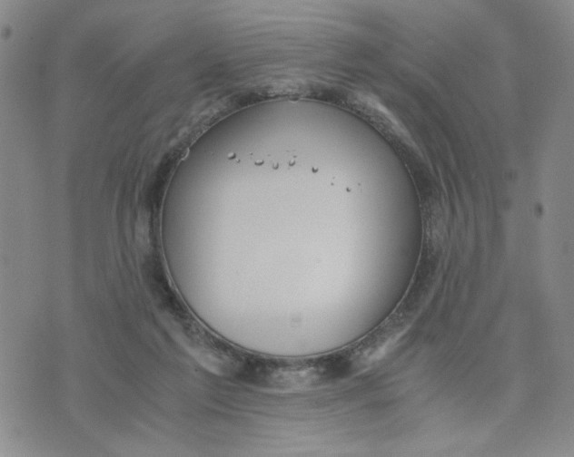 X0000076250213200610191657