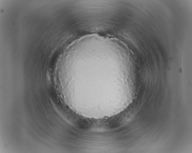 X0000076250214200610191657