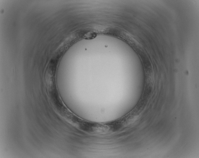 X0000076250215200610191657