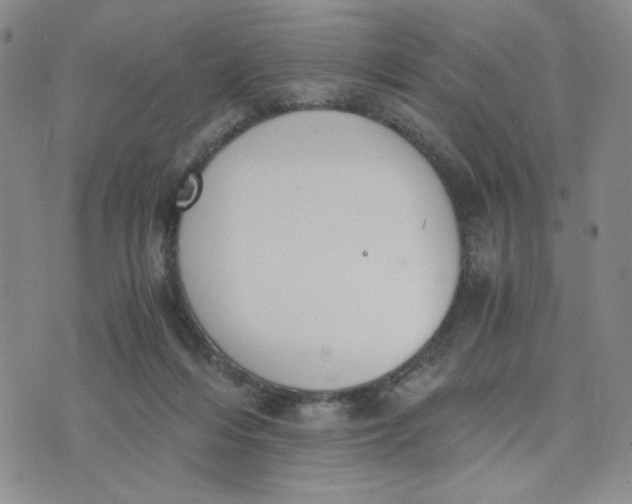 X0000076250216200610191657