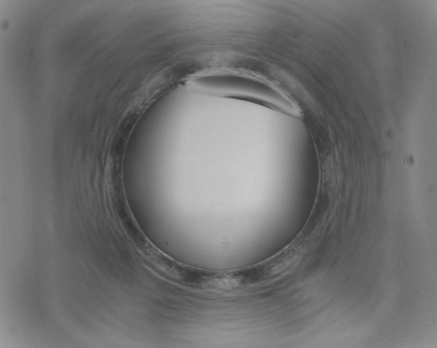 X0000076250217200610191657