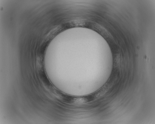 X0000076250218200610191657