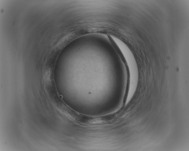 X0000076250219200610191657