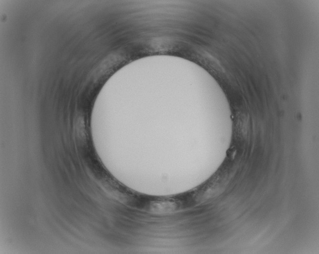 X0000076250220200610191657