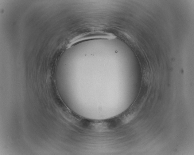 X0000076250221200610191657