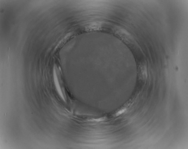 X0000076250224200610191657