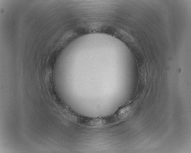 X0000076250225200610191657