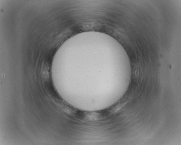 X0000076250226200610191657