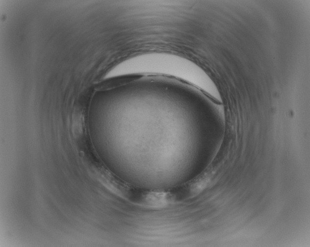 X0000076250227200610191657