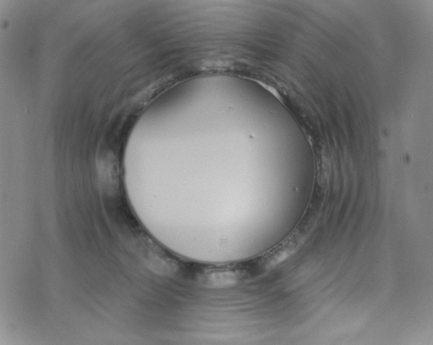 X0000076250228200610191657