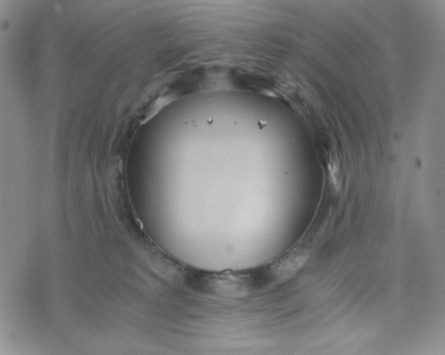 X0000076250229200610191657