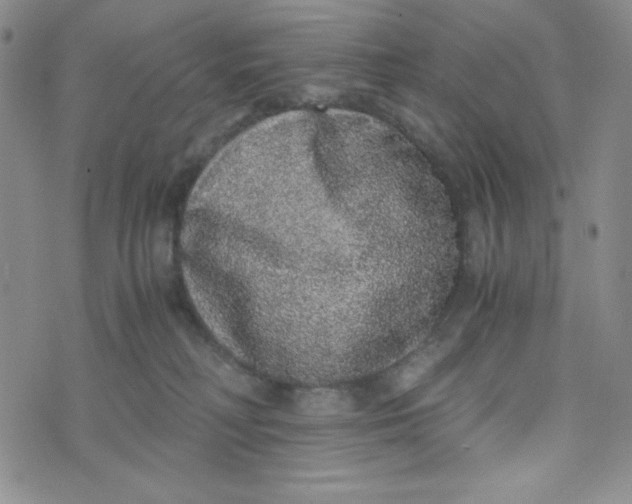 X0000076250230200610191657