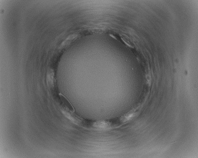 X0000076250231200610191657