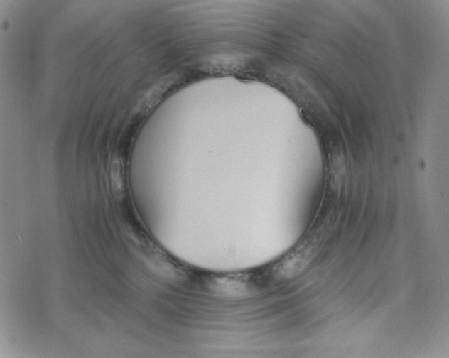 X0000076250232200610191657