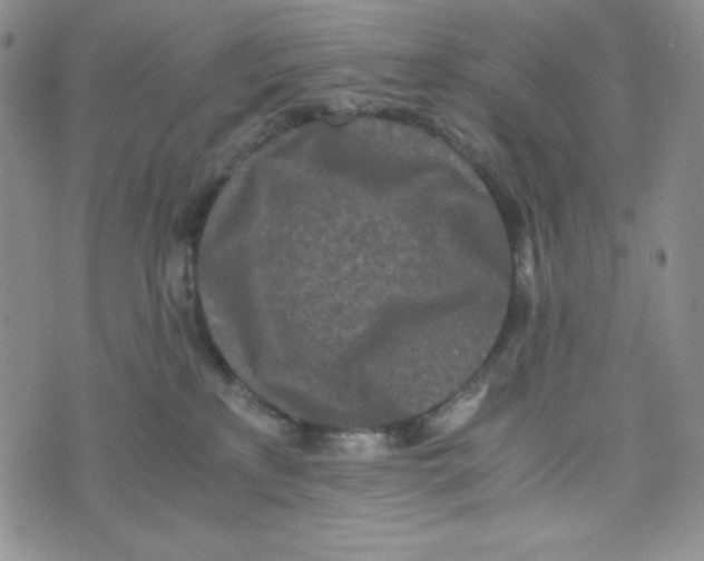 X0000076250233200610191657