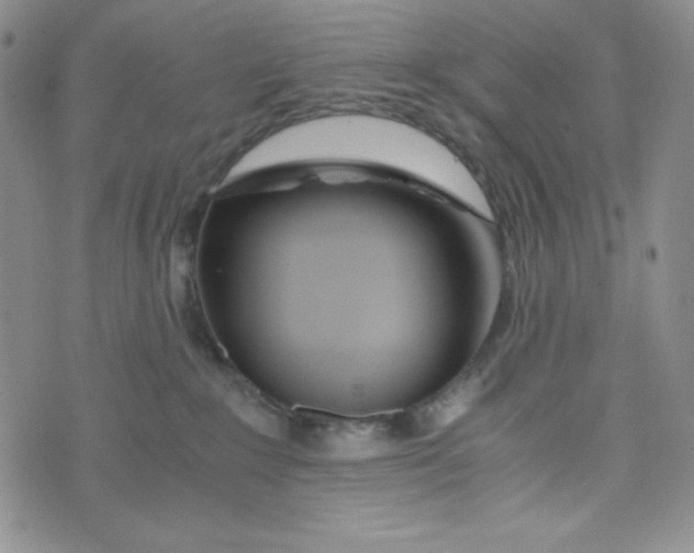 X0000076250235200610191656