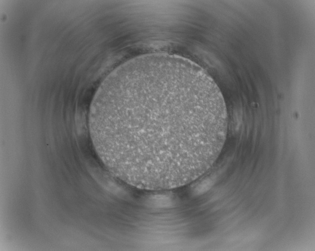 X0000076250236200610191656