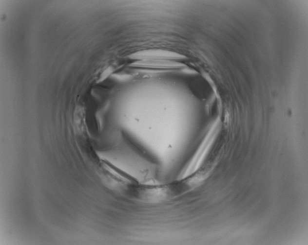 X0000076250237200610191656