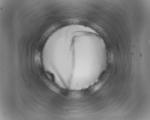 X0000076250238200610191656