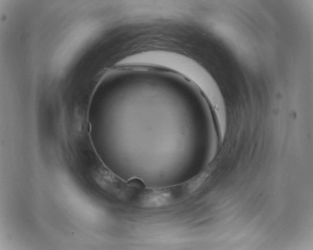 X0000076250239200610191656