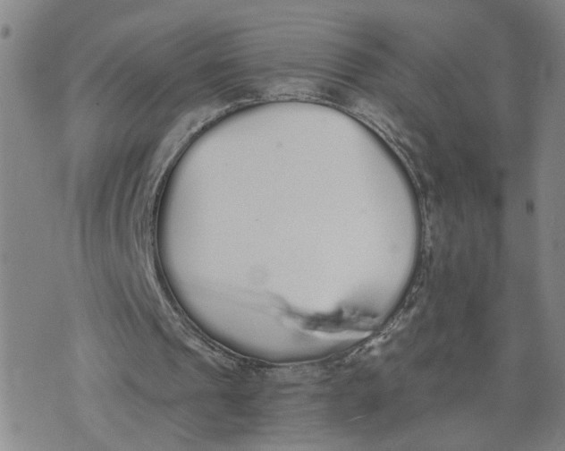 X0000076250241200610191656