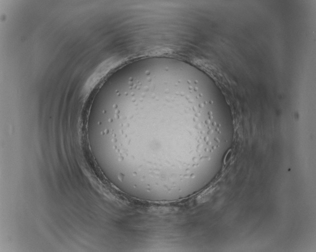 X0000076250242200610191656