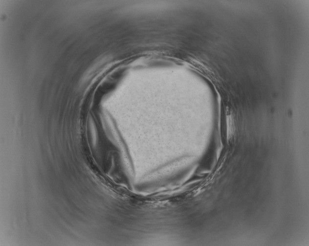 X0000076250243200610191656